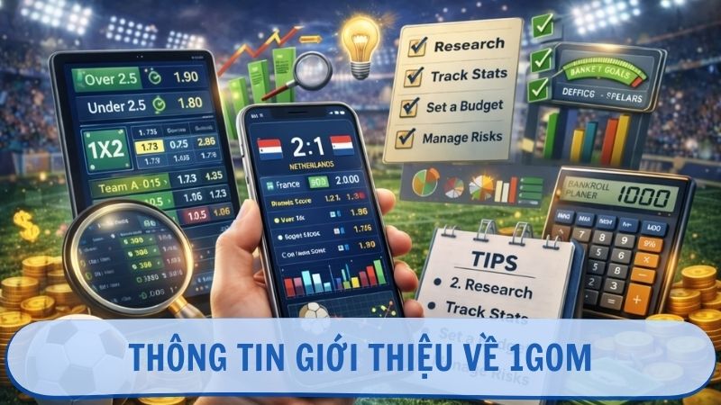 Thông tin giới thiệu về 1GOM