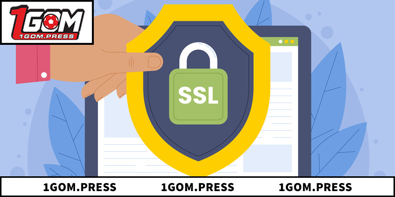 Quy trình lưu trữ và mã hóa dữ liệu bằng công nghệ SSL