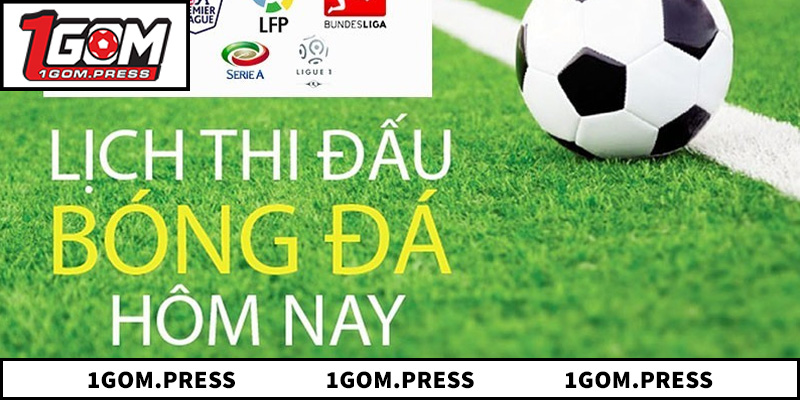 Ưu điểm vượt trội khi tra cứu dữ liệu tại hệ thống 1GOM